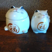 画像252