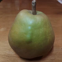 画像294