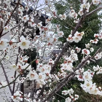 画像321