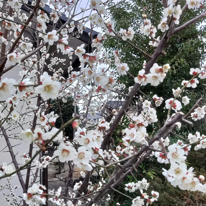 画像321