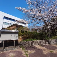画像329