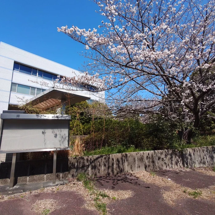 画像329