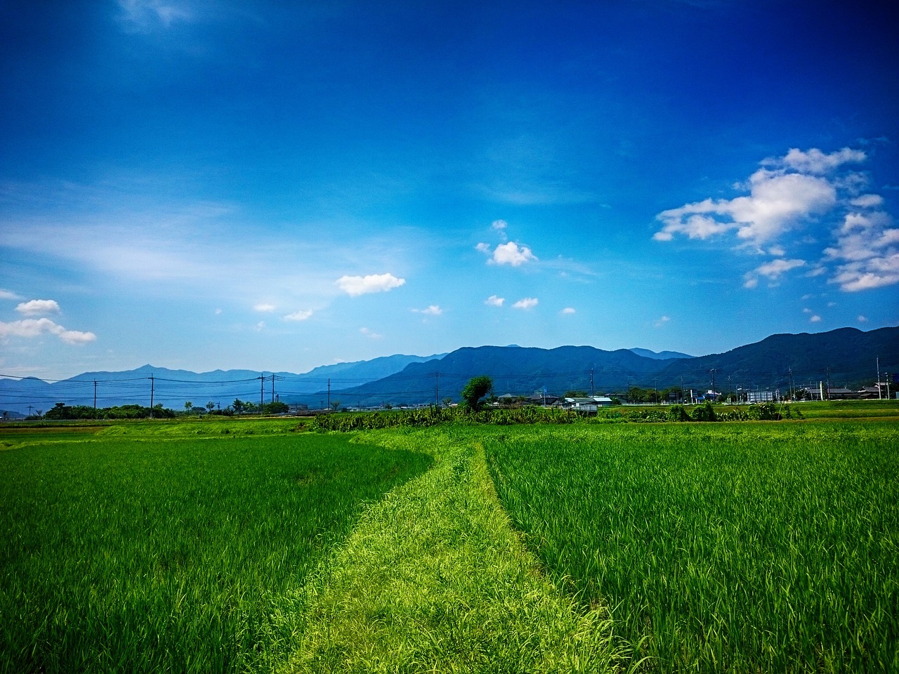 初回相談は無料!