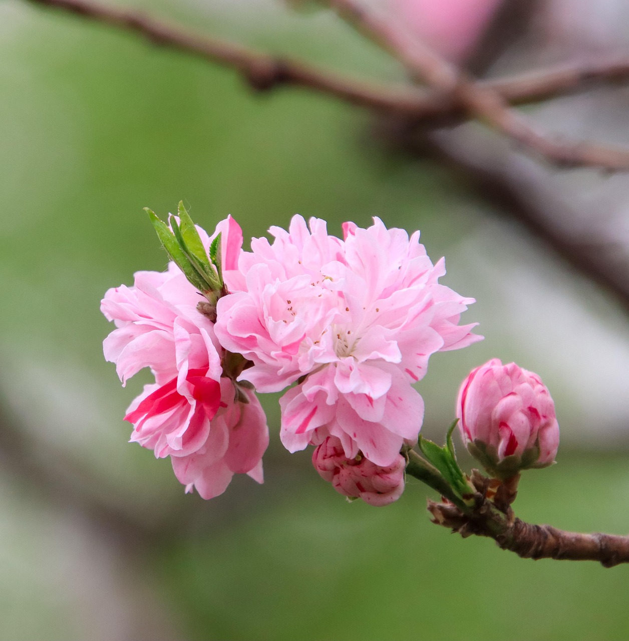 よくある誤解と注意点