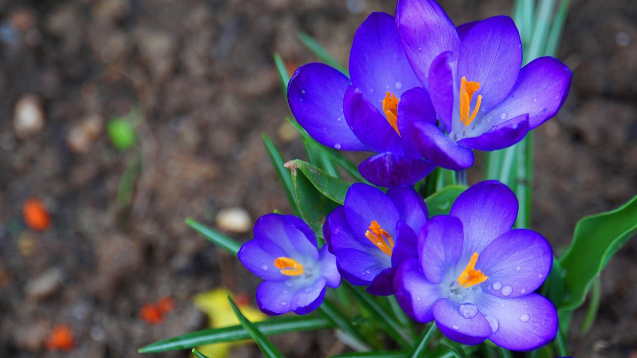 手続きのサポートが充実！