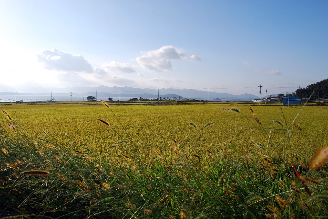 遺族の負担軽減のために必要な手続き